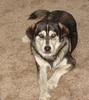 Lee Loomis Photo 20