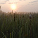 Jeff Rusk Photo 20