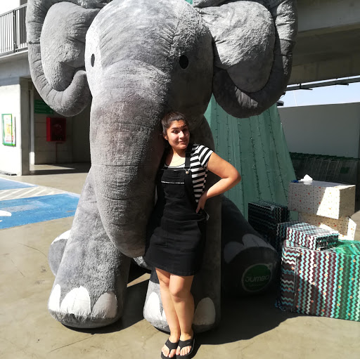 Claudia Gutierrez Photo 34