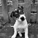 Jackie White Photo 11