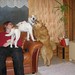 Teri Parsons Photo 13