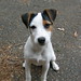Jack Riley Photo 27