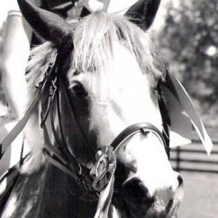 Jenny Fisher Photo 29