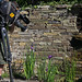 Stephen Hayward Photo 32