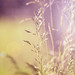 Nicole Link Photo 19