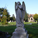 Alice Dixon Photo 39