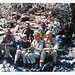 Mary Dillon Photo 29
