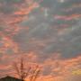 Debra Boyce Photo 30