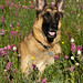 Betty Rollins Photo 12