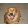 Mack Mcclendon Photo 11