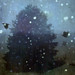 Linda Peace Photo 19