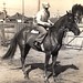 Jack Jacobson Photo 16