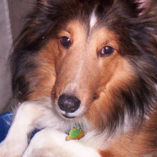 Douglas Weber Photo 15