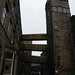 Norman Thoms Photo 11