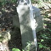 Mary Shultz Photo 15
