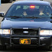 Carroll Williams Photo 29