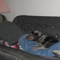 Avery Mcguire Photo 5