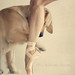 Joy Kirkland Photo 11