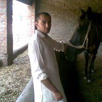 Suleman Cheema Photo 15