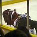 Jack Foreman Photo 7