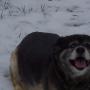 Raymond Goins Photo 16