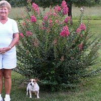 Pauline Curtis Photo 24