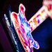 James Prevette Photo 7