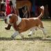 Joann Nolan Photo 10