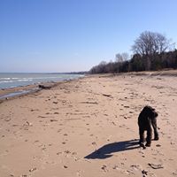 Allison Skinner Photo 28