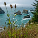 Samuel Curry Photo 24