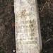 Florence Newman Photo 17