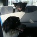 Christine Battaglia Photo 10
