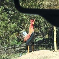 Shawn Larimer Photo 12