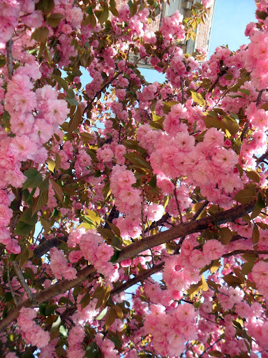 Heather Baber Photo 3
