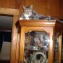 Lori Gill Photo 25