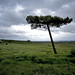 Heath Poole Photo 4