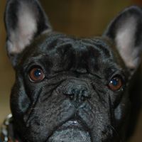 Melvin Griffin Photo 6