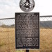 Laura Huffman Photo 36