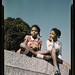 C D Photo 25