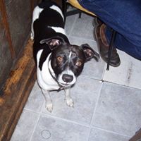 Delores Mcclure Photo 6