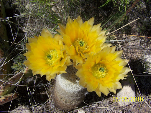 Shelly Tucker Photo 6