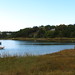 Gladys Mills Photo 21