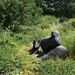 Karl Kluge Photo 4