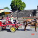 Janice Urban Photo 11