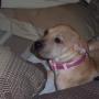 Kathy Locke Photo 21