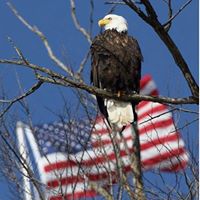 John Donofrio Photo 40