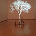 Jennifer Toler Photo 31
