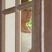 Leslie Snipe Photo 8