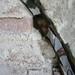 Julie Hogue Photo 29