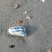 David Kirby Photo 17
